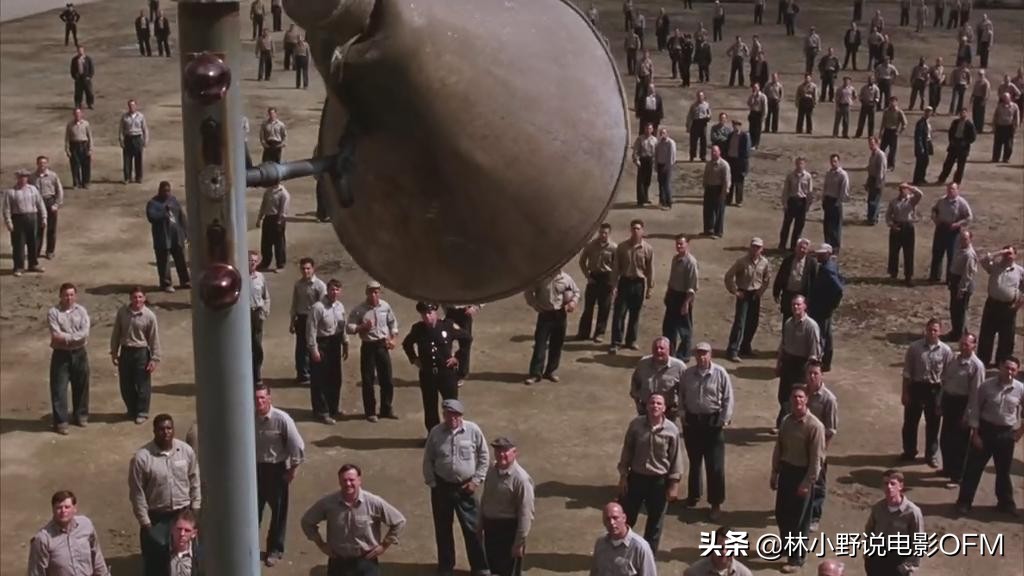 This old oak tree was struck by lightning! "Shawshank's Redemption