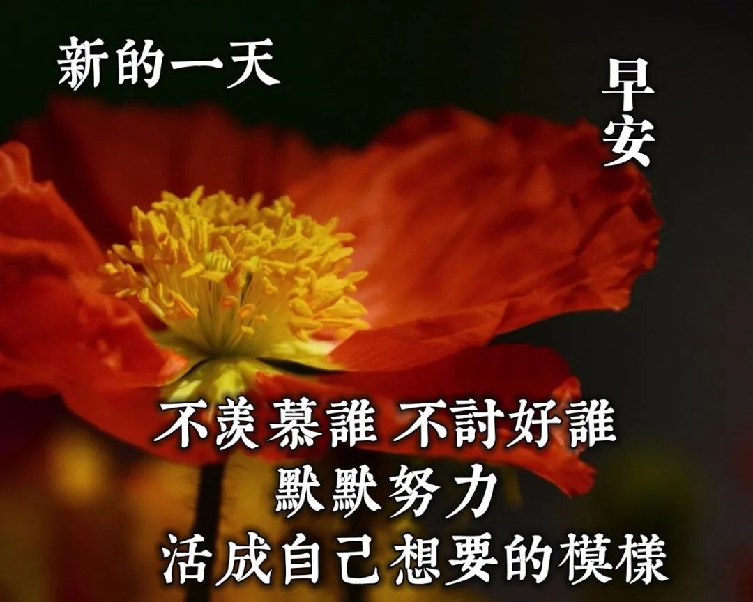 大气又精致的早安说说 唯美早上好图片大全