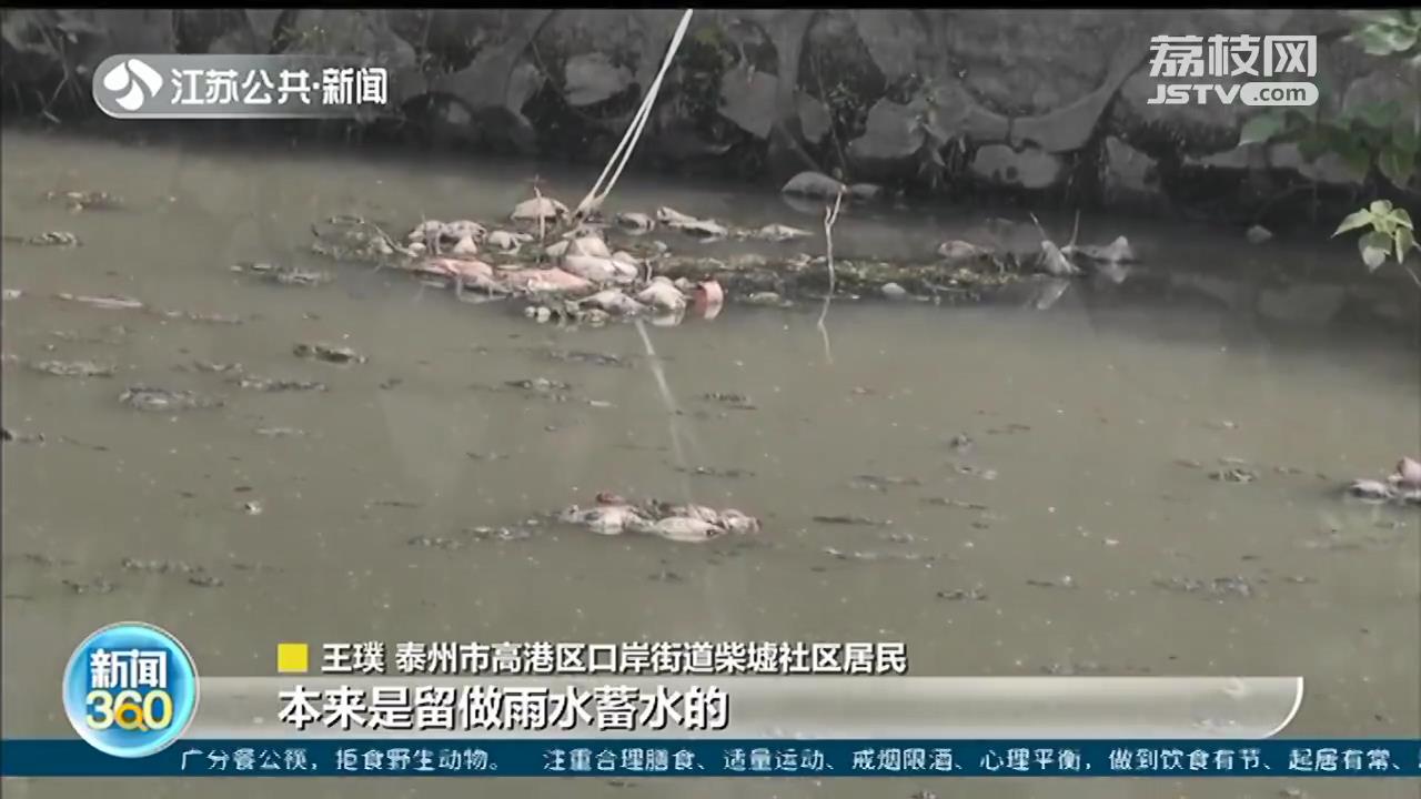 小区蓄水池变身&ldquo;化粪池&rdquo;！住建局表态：明年底之前彻底解决