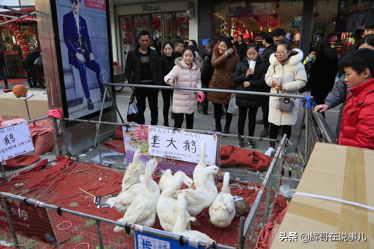 东北小伙开餐馆负债50万，摆摊“套大鹅”，一年收入200万