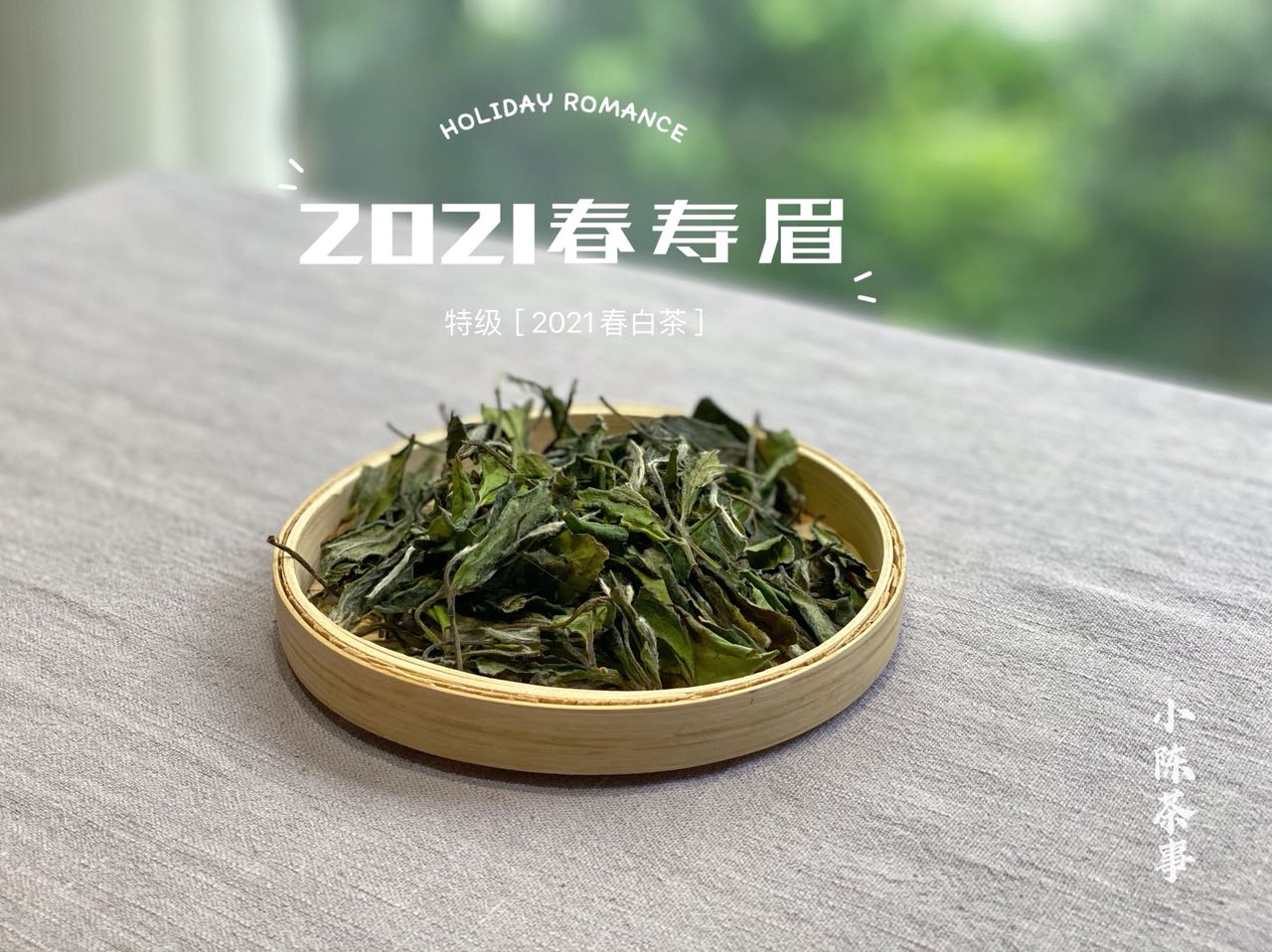 為什么白茶要從壽眉喝起？3個理由，作為入門白茶夠不夠格？