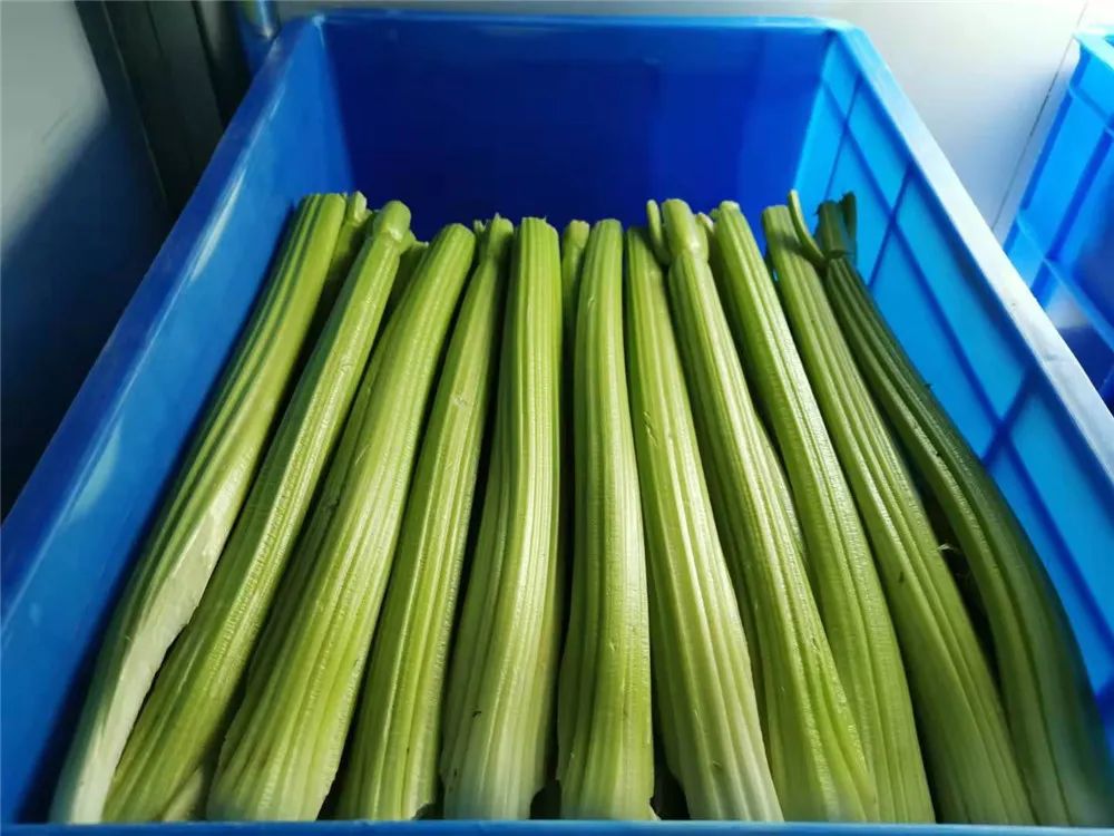 兵哥哥的炊事班里有多整齐？青菜辣椒就忍了，