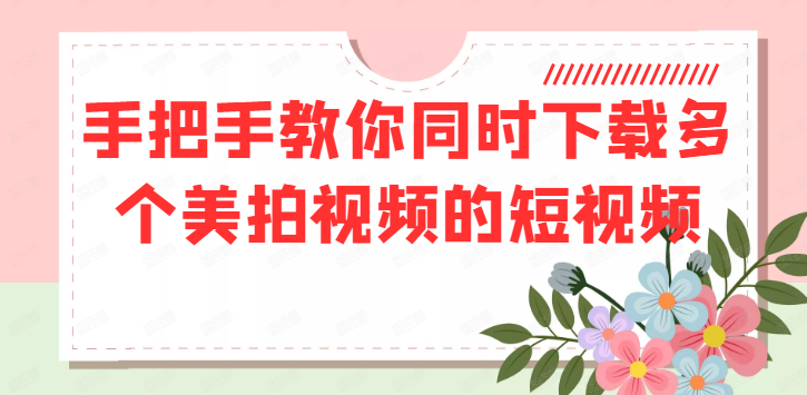 美拍里的无水印短视频用哪个软件采集，新手做自媒体怎么搬运