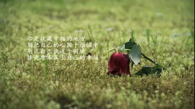 关于人生感悟的句子（人生哲理的句子经典） 第3张