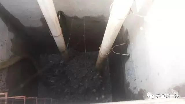 池塘底排污:排除废水,改良底质,净化水体,水好鱼才好