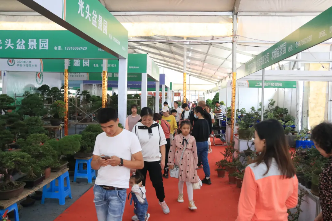 大饱眼福，第八届中国沭阳花木节竟如斯出色！你想看的全在这里…