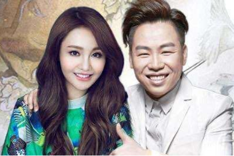 为张翰整容，给胡彦斌写书，帮张恒开公司，郑