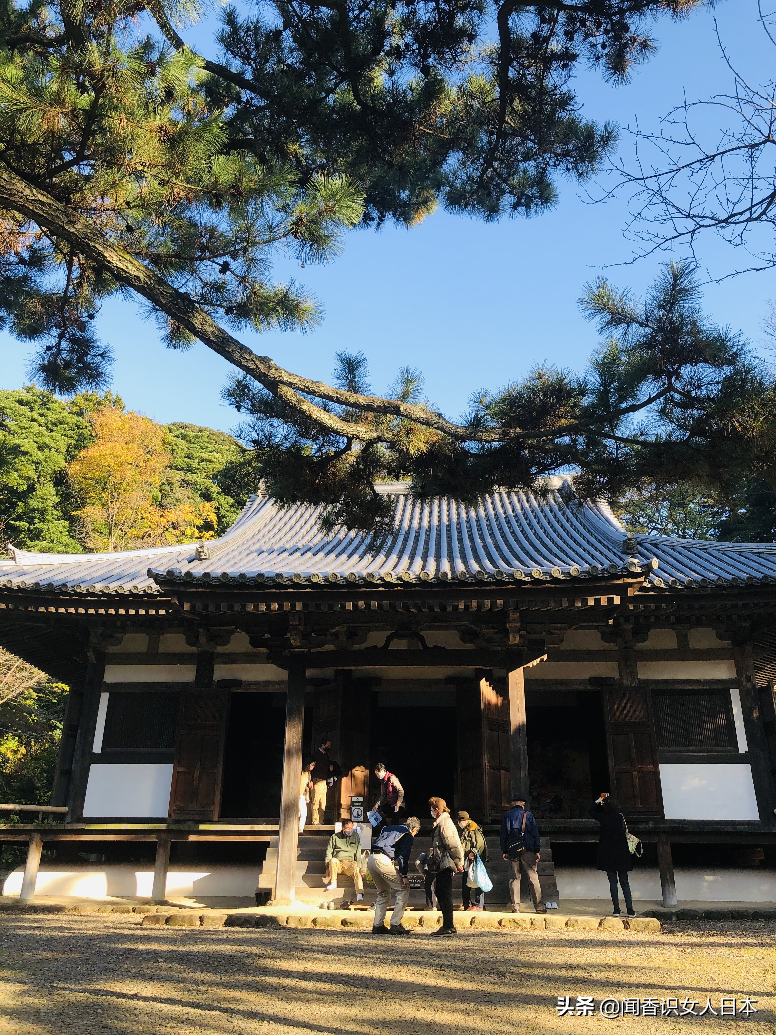 橫濱三溪園一代實業家打造的日式庭園 17座建築來自京都和鎌倉 中國熱點