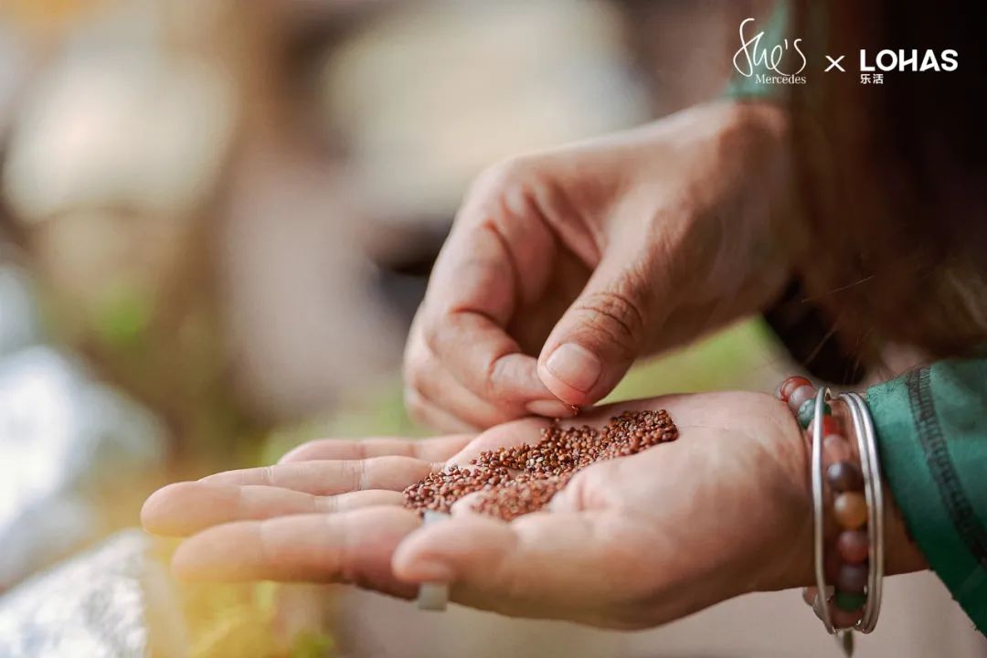 究竟是什么宝藏藜麦，引得来自各行各业的女性创造者们纷纷助力？