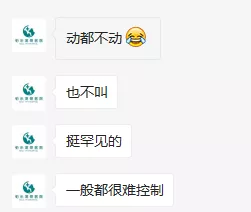 没错，狗也能献血，但被“人”喷闲得慌，说狗不配人的待遇