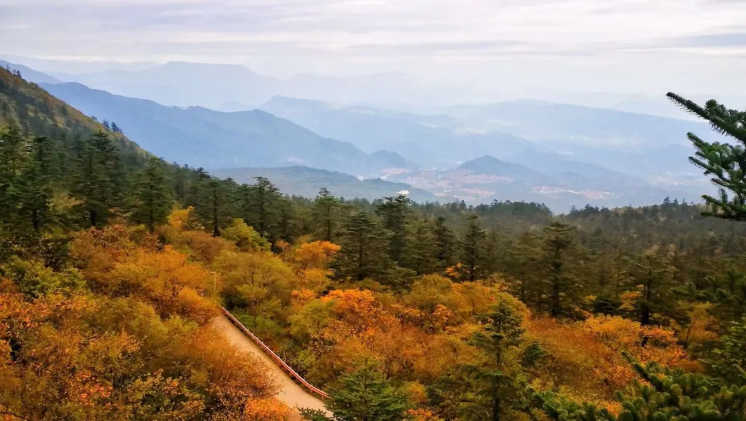 没想到,峨眉山以这样的方式告别秋天