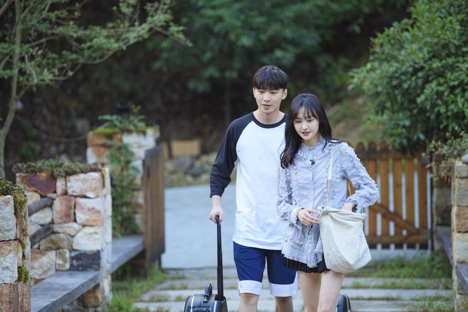 郑爽是怎么一步步走到今天的？一副好牌打稀烂