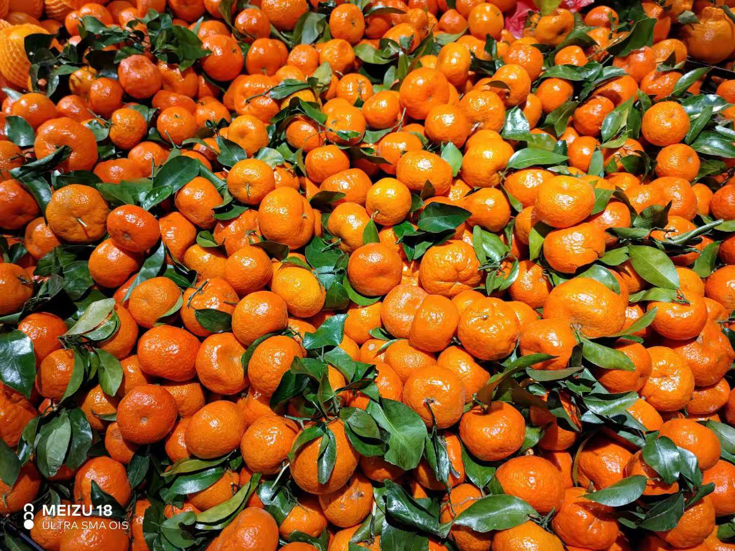 魅族18体验：做最纯净的仔 有颜有料的小屏旗舰