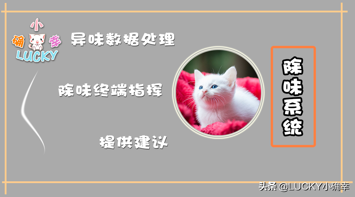 养猫遇上烦心事怎么办？“智能家居”替你解忧