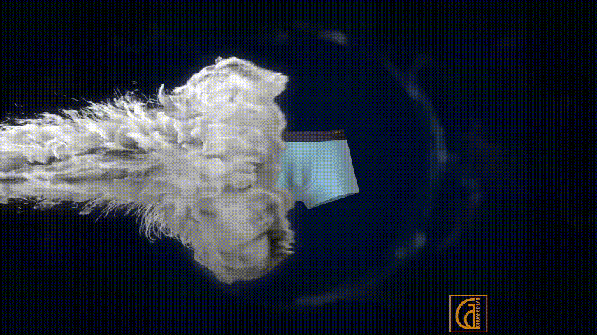 内裤动画宣传片能有多吸引人？你绝对想不到