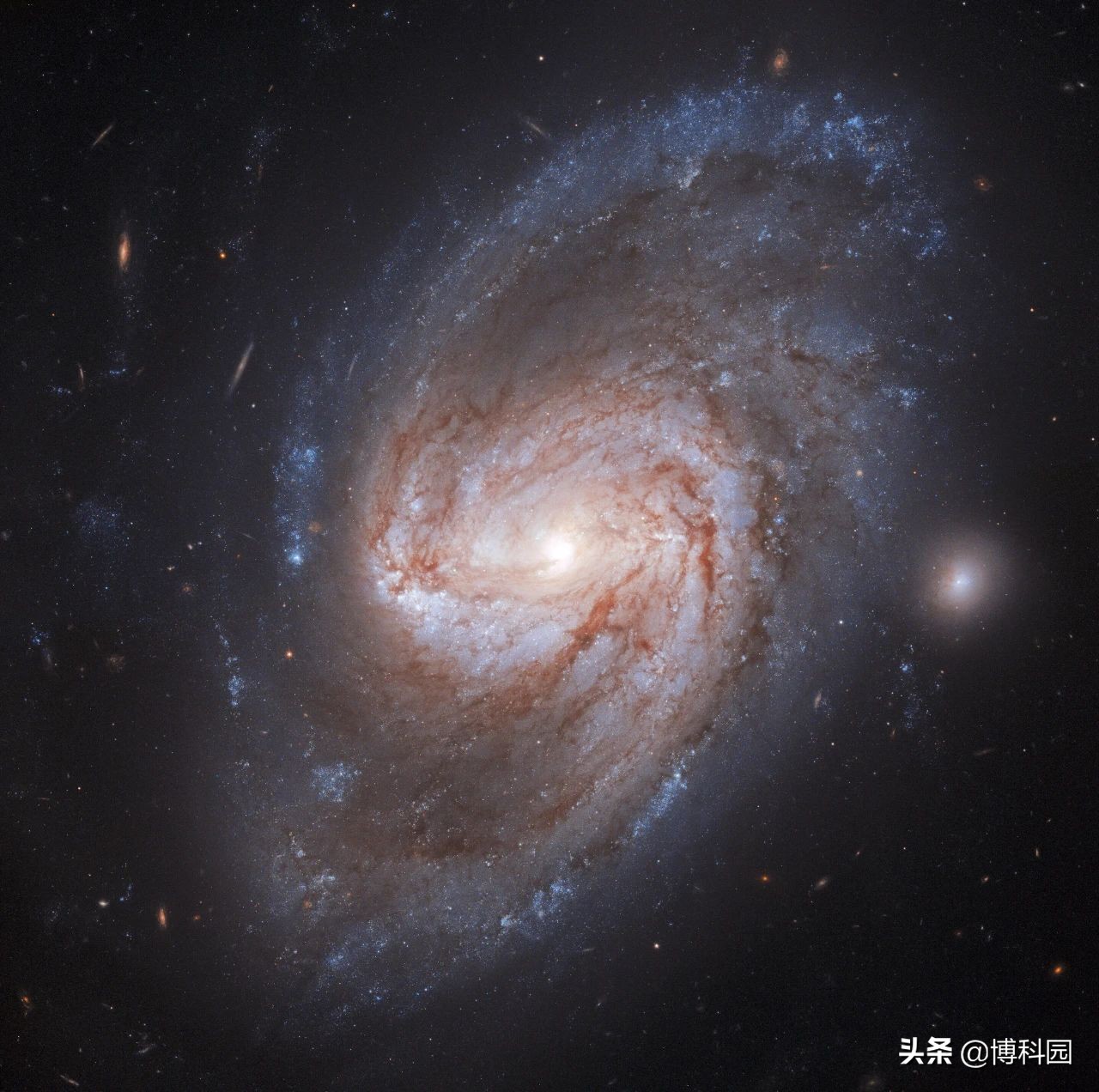 哈勃拍摄到：一张很美的条形螺旋星系，距离我们才9800万光年