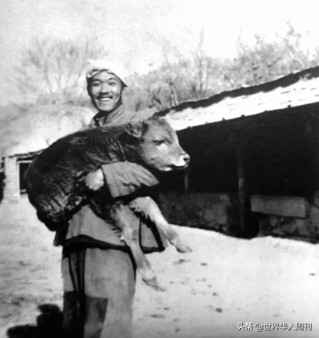 在轮椅上度过了38年的史铁生，为什么被称作“时代的巨人”？-第4张图片-大千世界