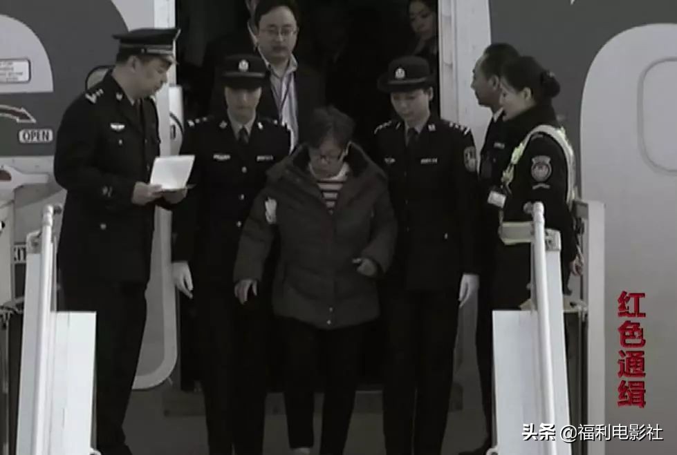 逃亡美国加拿大原来这么苦逼，这群红通逃犯贪污那么多钱有啥用呢