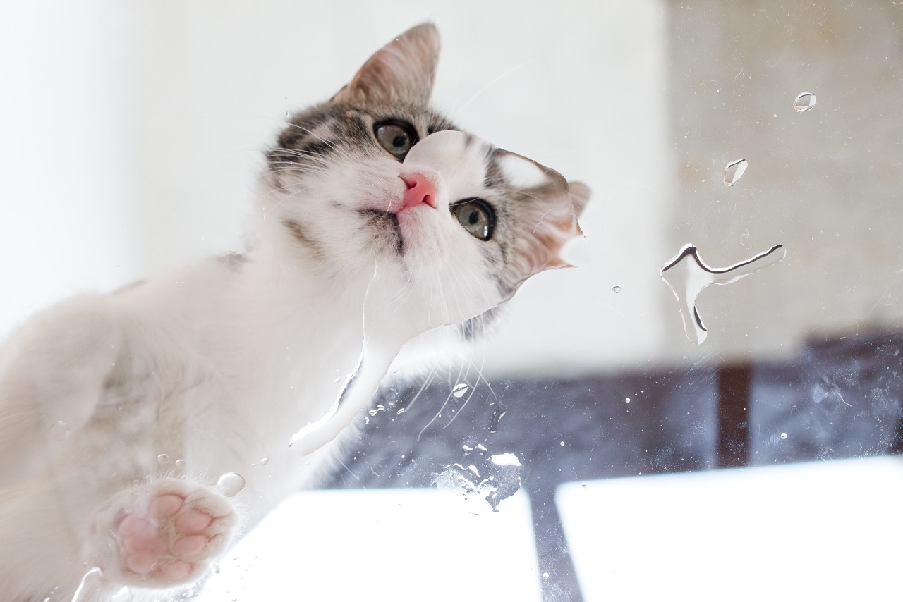 网课赚钱可以，亲民，不神秘