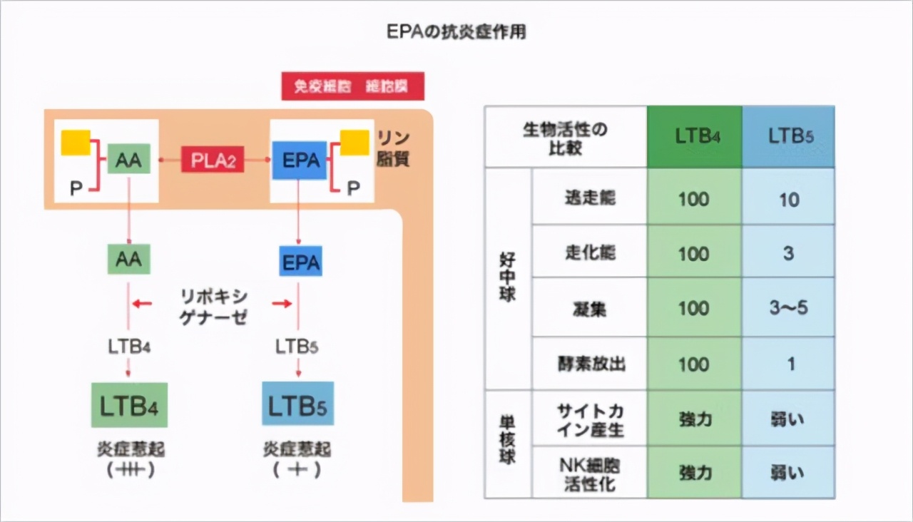 Can fish oil prevent cardiovascular disease?To eat or not to eat?Listen