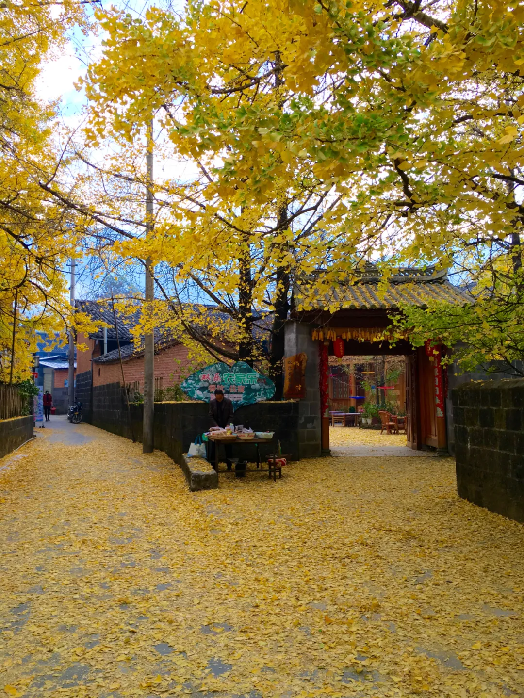 秋天最美的9条神仙级绝美路线,条条惊艳,太适合自驾了