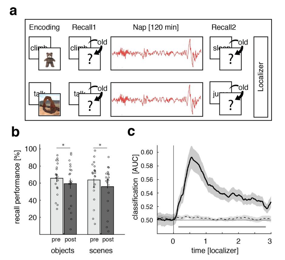 Sleep strengthens memory!Research finds that the brain generates ...