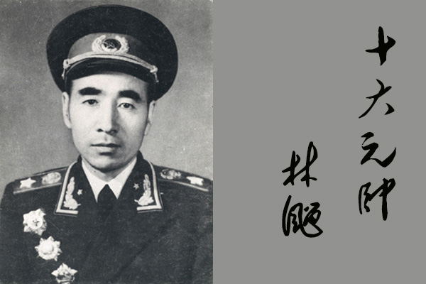 新中国十大元帅是何来历，毛主席对十大元帅有