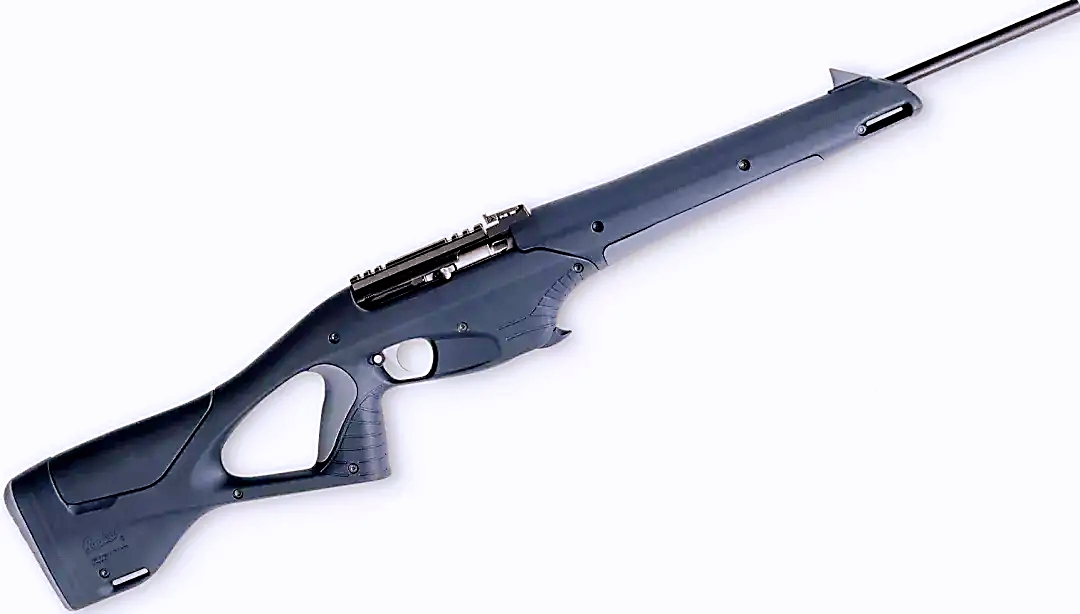 The small-caliber rifle of the fighting nation has a cool appearance