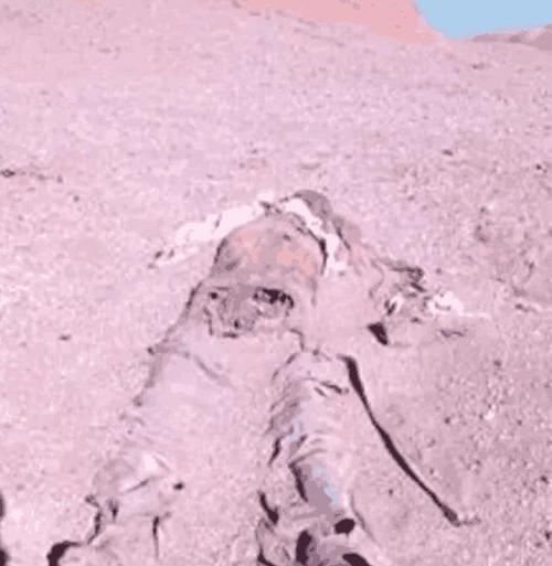 新疆罗布泊镜像人事件，这算是科幻事件吗？？