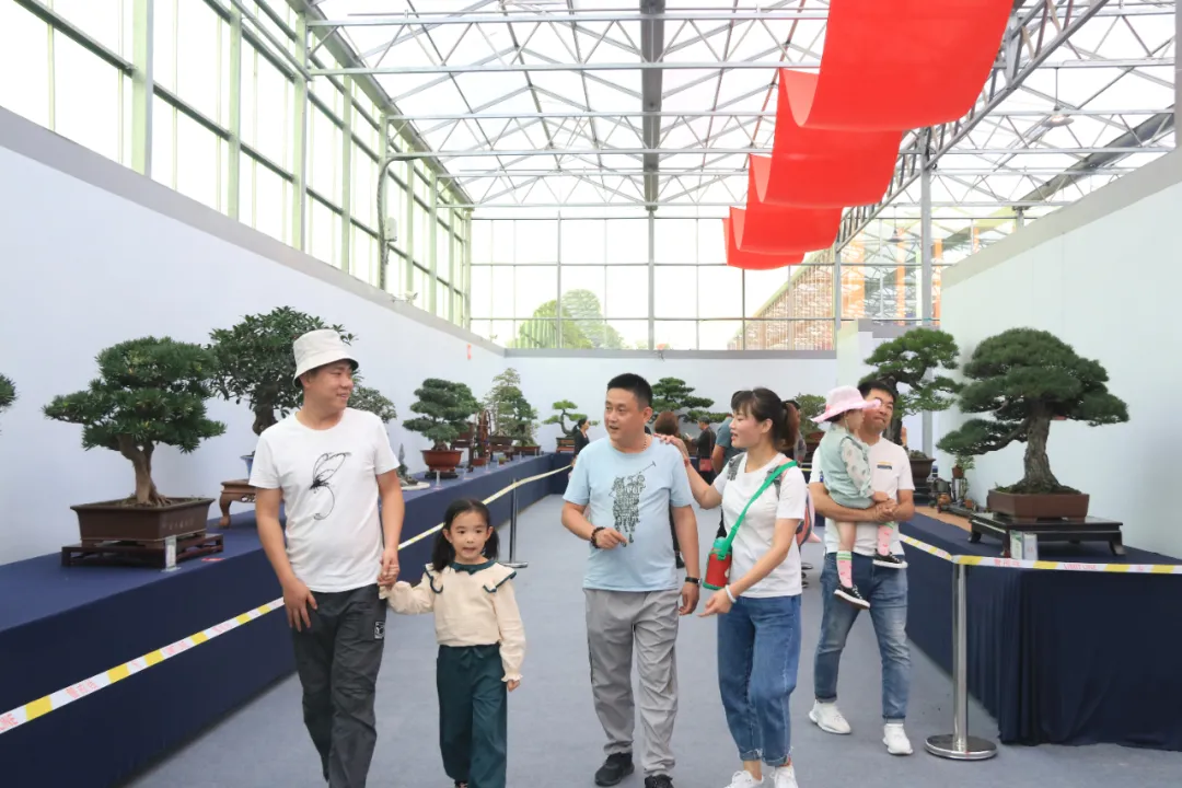 大饱眼福，第八届中国沭阳花木节竟如斯出色！你想看的全在这里…