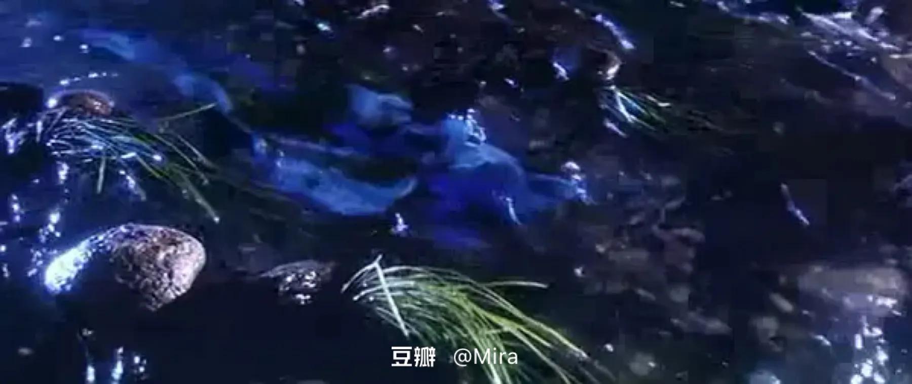 儿时《青蛇》5遍都没看明白，多年后才懂小青和法海在水里干的事