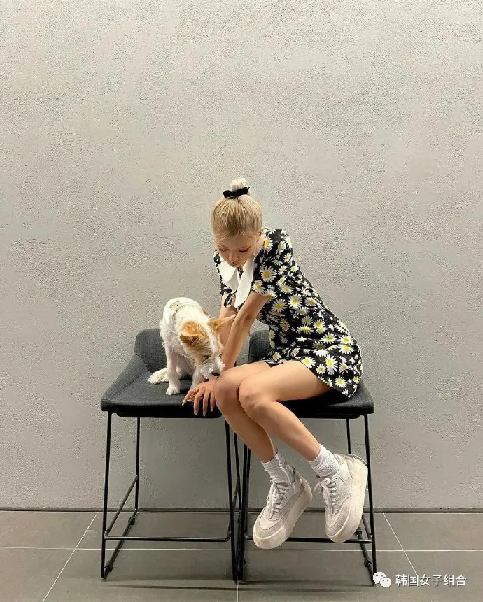 和这位女团爱豆的氛围很像的狗狗,真的随主人了