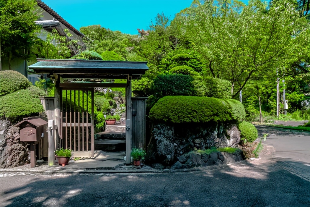 小区内成立业主委员会，业主委员会成员的条件是什么？