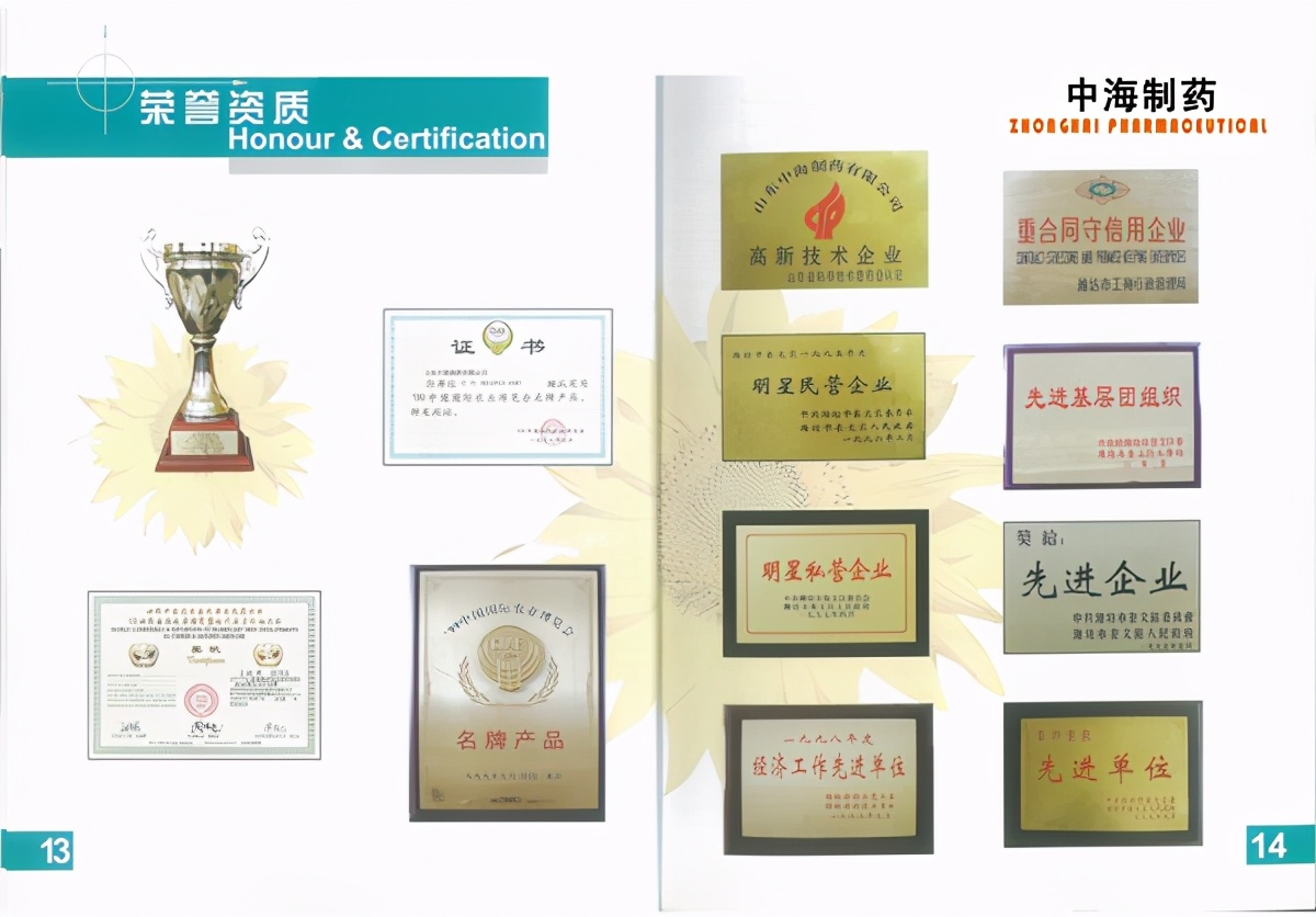 山东中海制药创始人徐宝贞：不畏困难，用激情点燃海药事业