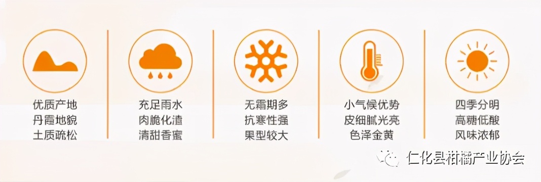不看不知道！原来丹霞贡柑有这么多秘密！你吃对了吗？