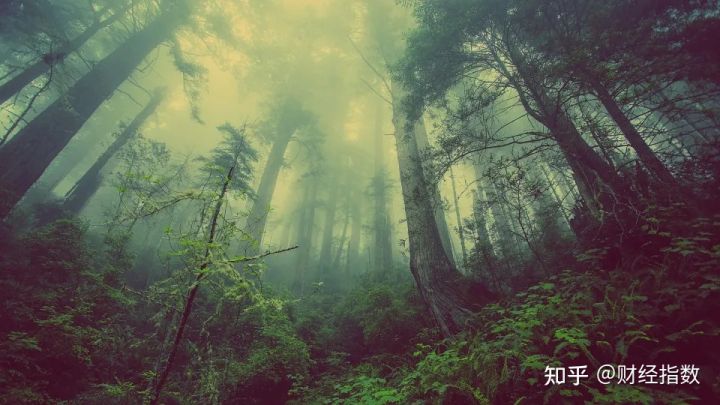 做好自媒体必须知道的四大知识点