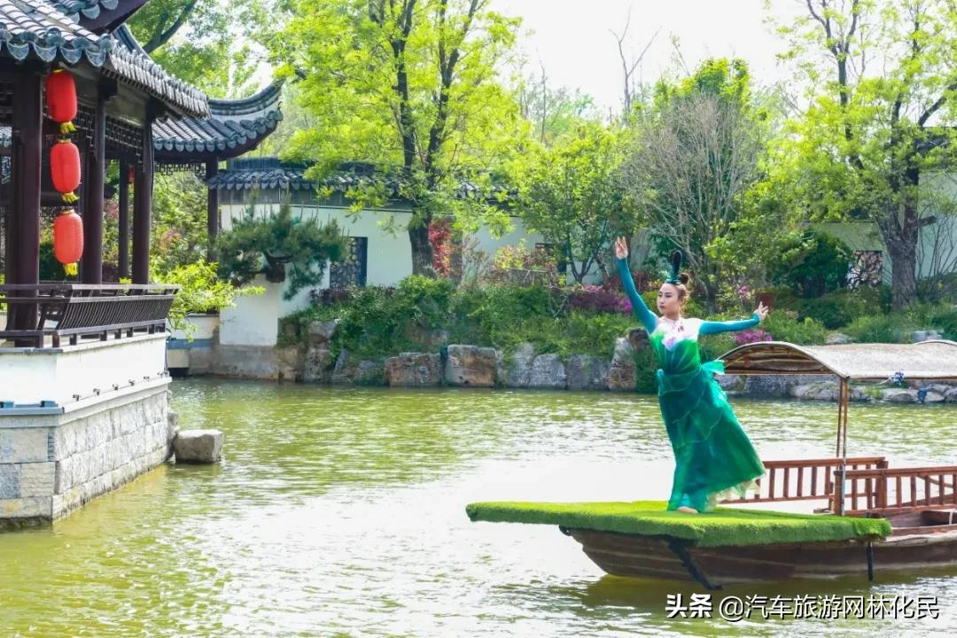 6.1大放价！！！“你好，恐龙先生”儿童节神秘来袭