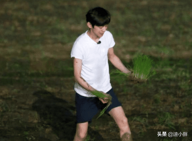 《向往》唯一一次在饭桌打码不是因为没赞助，原来是未成年不能看