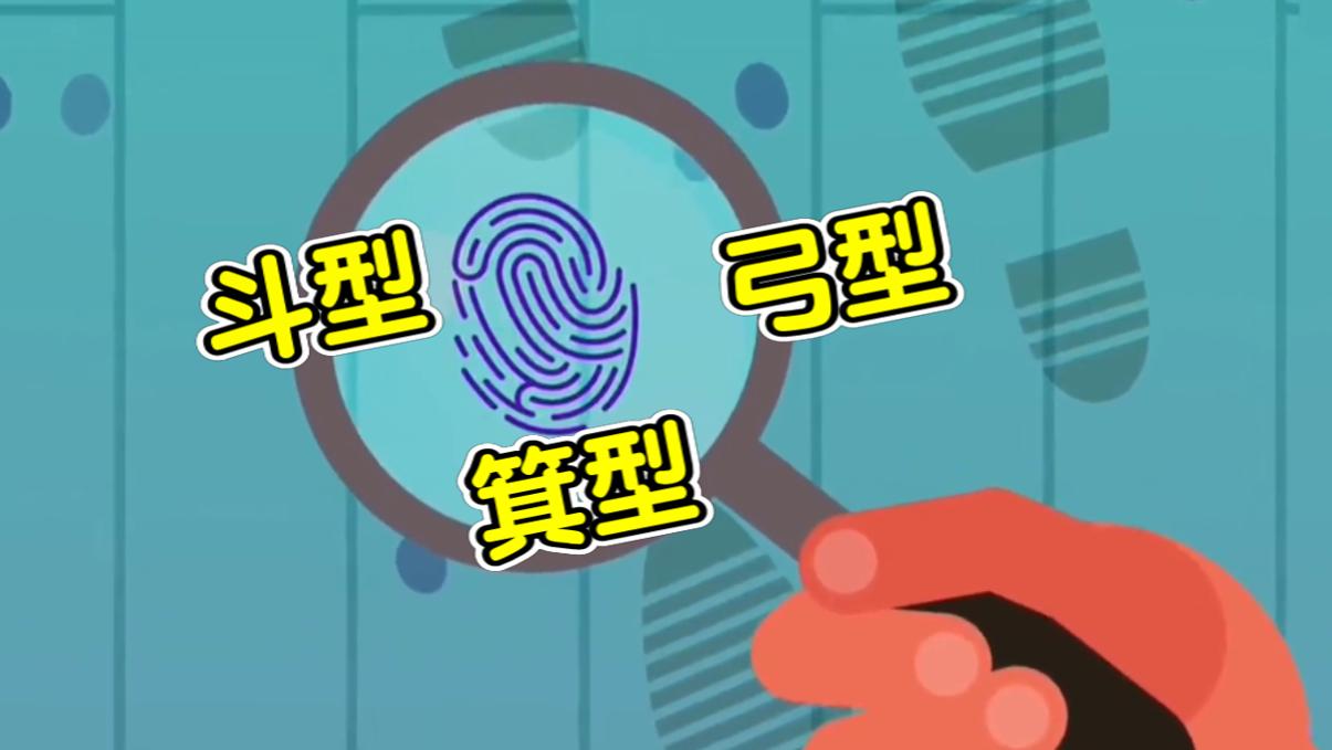 How are fingerprints formed?What is its original function?Do you really