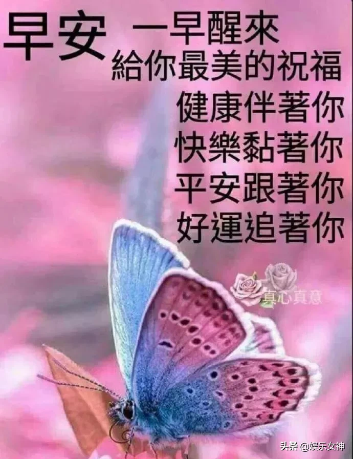 非常漂亮微信群早安问候图片，经典温馨的早安问候短语图片