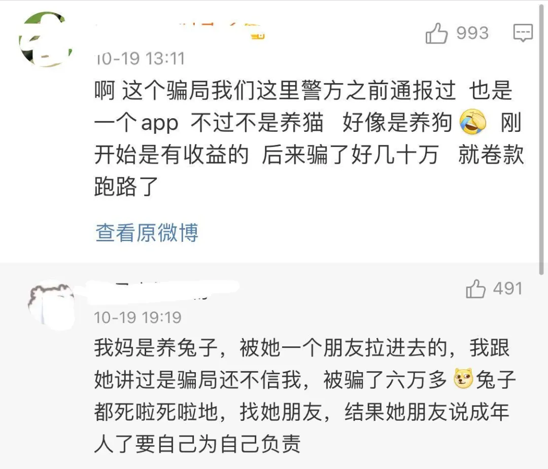 6000多人被骗了1个多亿!央视曝光养猫骗局
