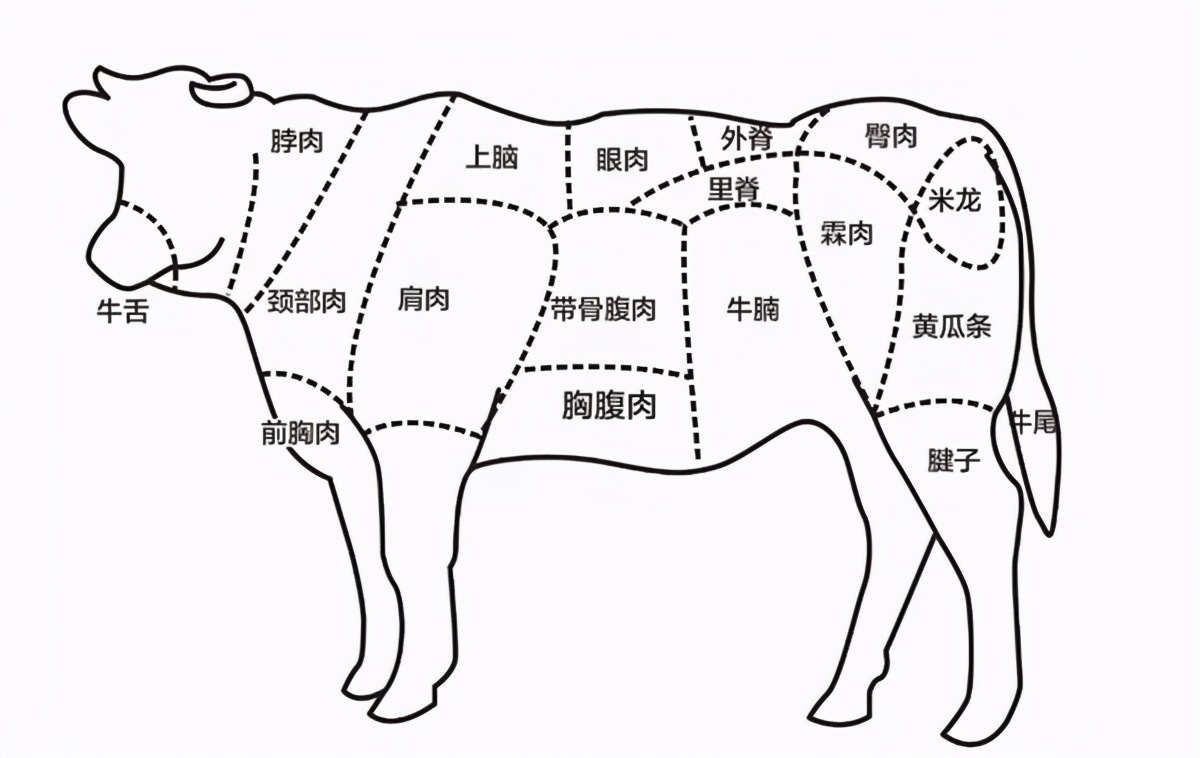 为什么肥牛比牛肉便宜?制作肥牛卷用哪个部位(图5)