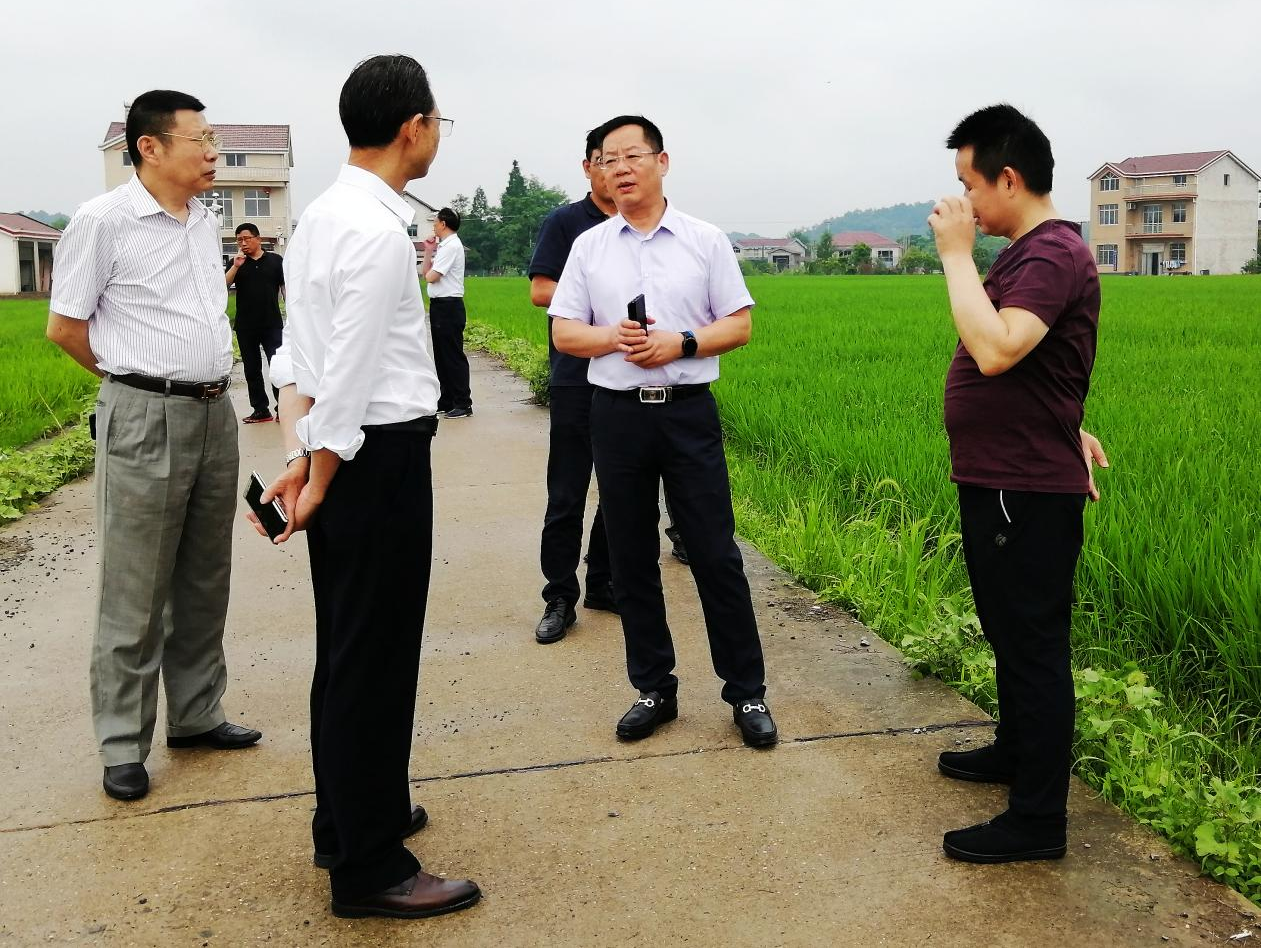 富硒农产业大有可为 湖北考察团到常德求取现代农业发展真经