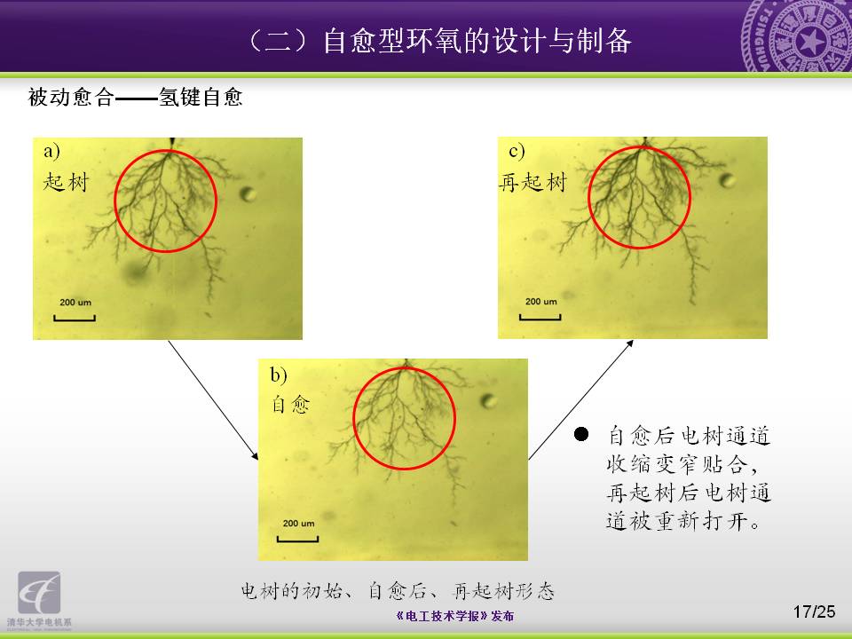 清华大学电机系杨颖副教授：向大自然学习，电工材料的设计与制备