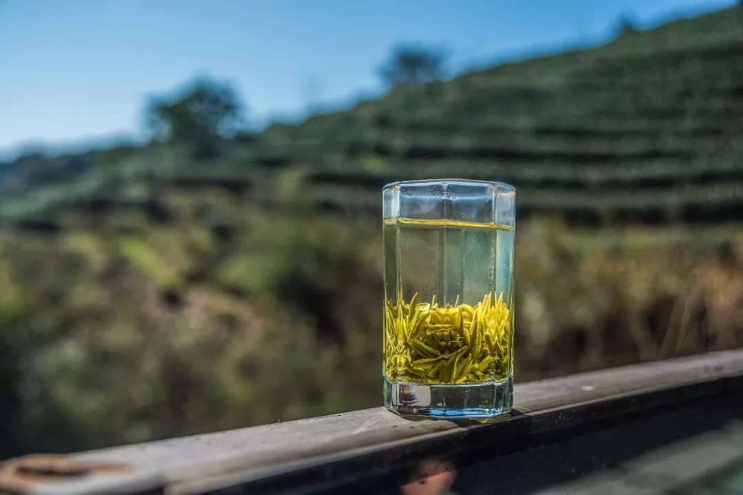 泡綠茶，別總是先放茶葉再倒水！想要茶香味好，請(qǐng)牢記這個(gè)順口溜