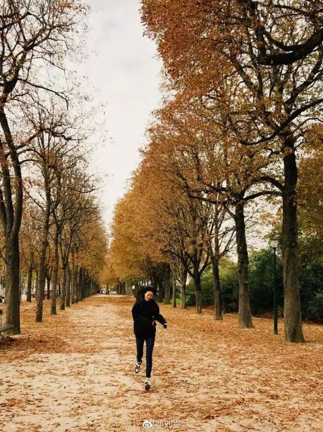 Original journey illuminates such patting, very good-looking really