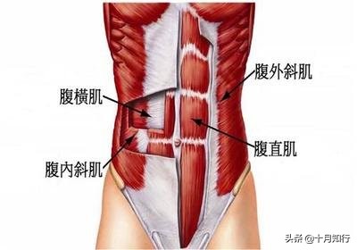 想要练出马甲线，动作不用多，只要能坚持3个动作足够了