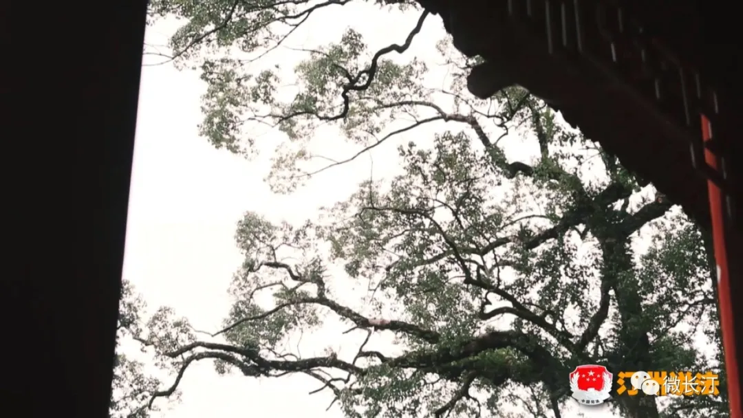 “汀州说法” 第23期:《一起跨越世纪的补偿安置纠纷》