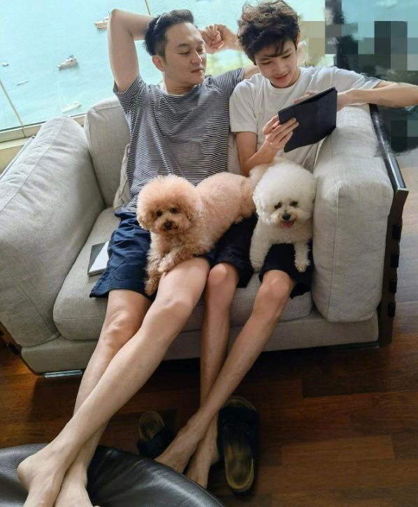 偶遇袁咏仪一家三口逛街，张智霖被赞亲民，魔童见镜头挥手打招呼