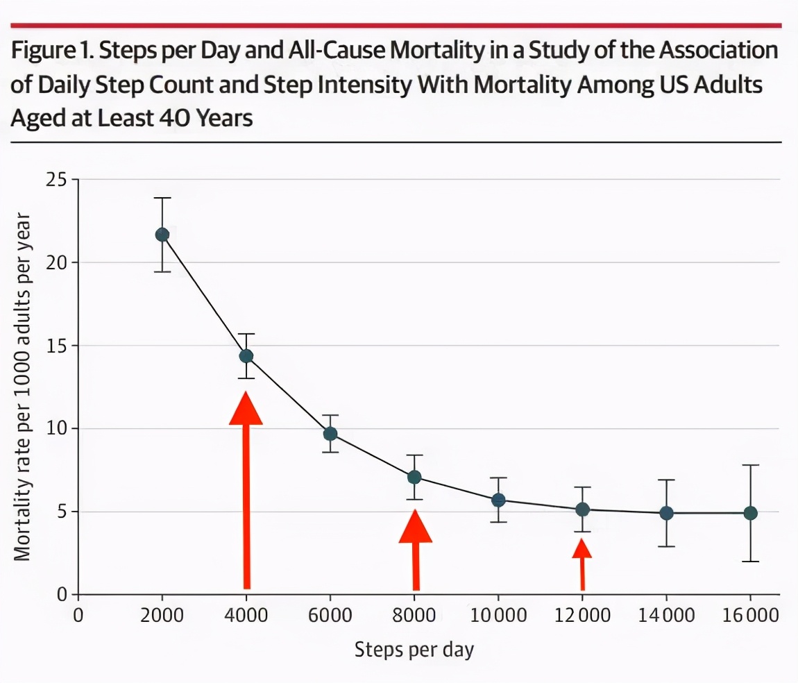 每天走4000步和8000步的人有什么区别？十年研究揭开真相
